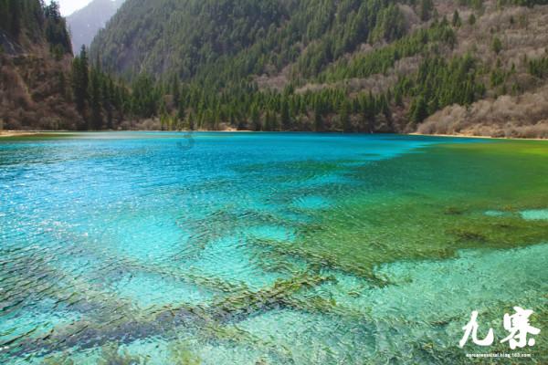 清凉夏日冰淇淋