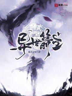 影子战术将军之刃