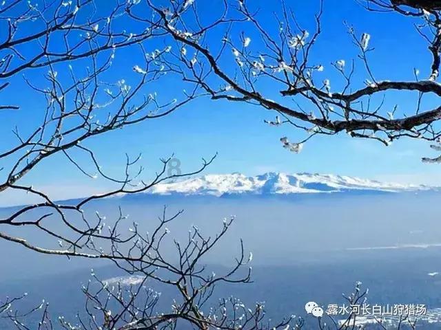 神游记