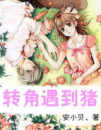 盗金父子俩4