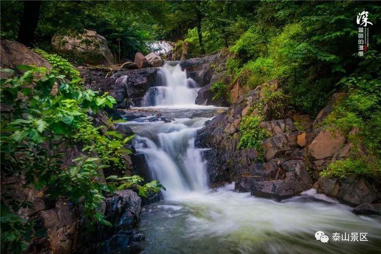 1800余项春节文旅大餐过足瘾 在陕西过大年 禅和！