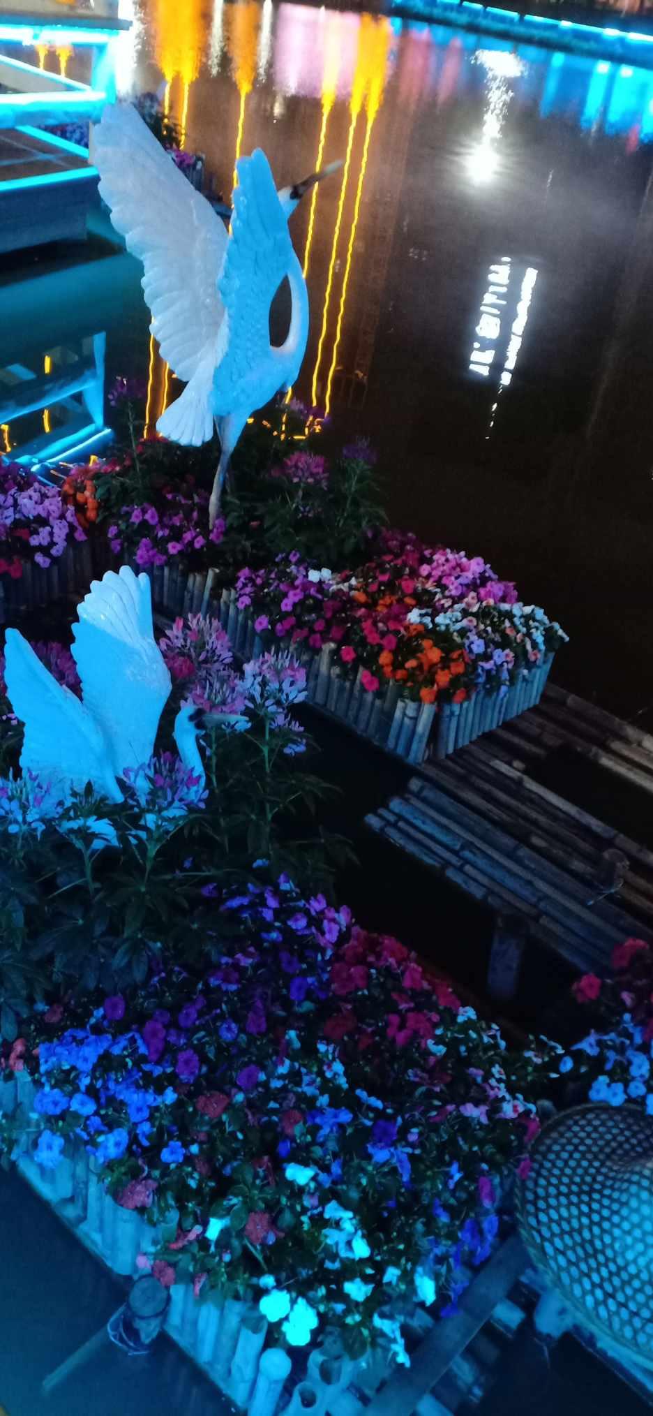 诱捕小浣熊